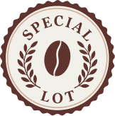 SPECIAL LOT